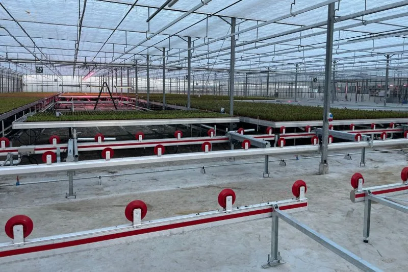 Container Conveyors