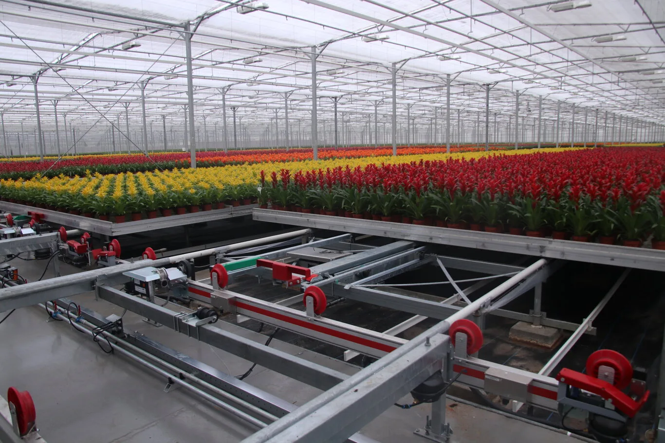 container conveyor