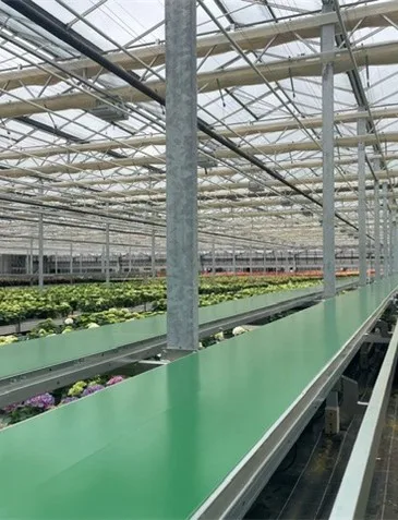 Conveyor Systems