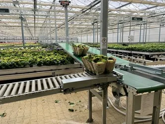 Conveyor Systems