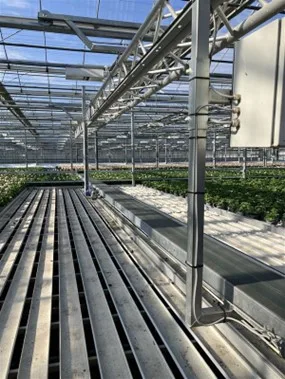 Conveyor Systems