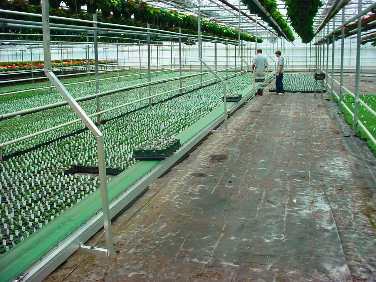 Conveyor Hangers